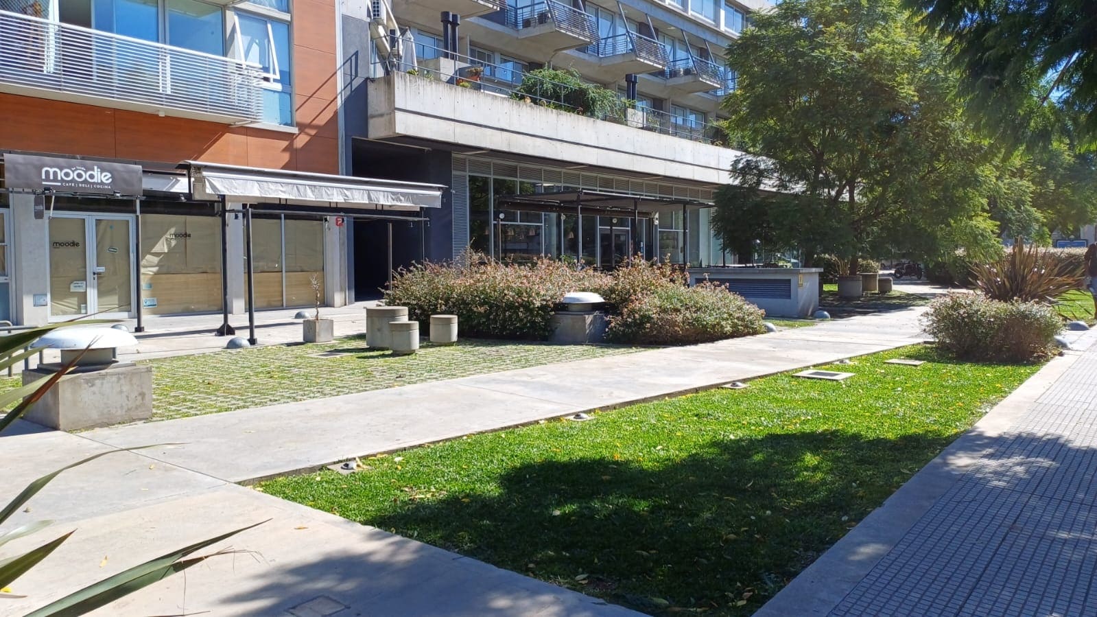 Descripción de la imagen